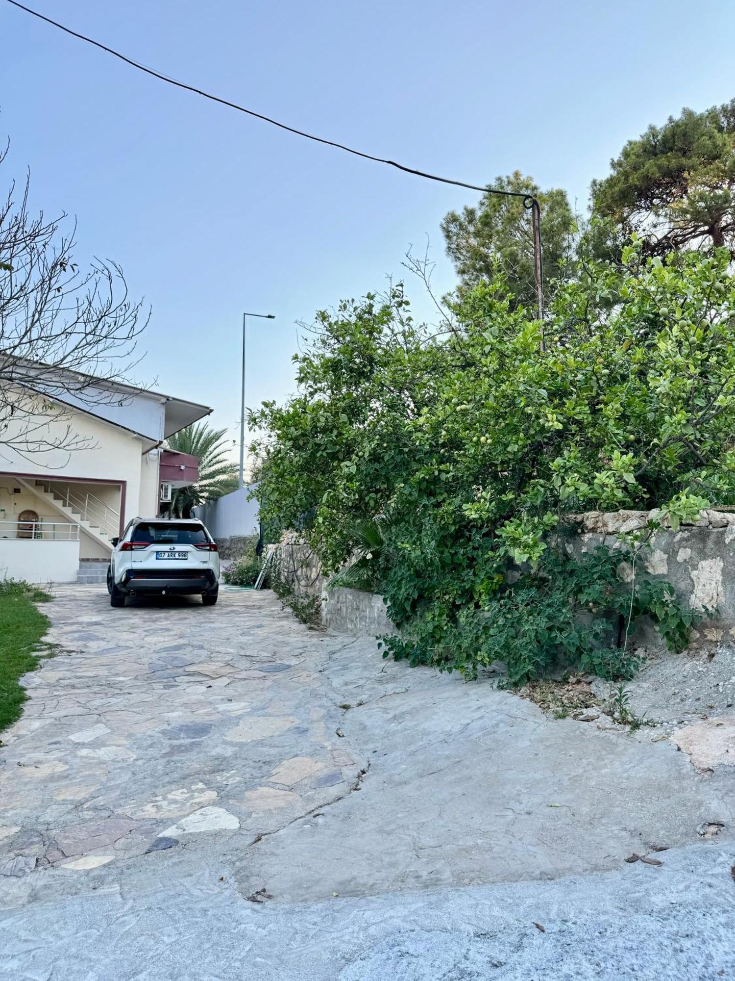 Rose Hotel B&B Patara Eksteriør bilde