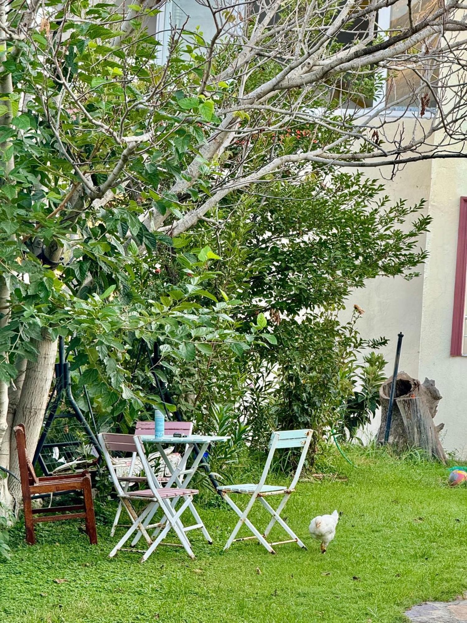 Rose Hotel B&B Patara Eksteriør bilde