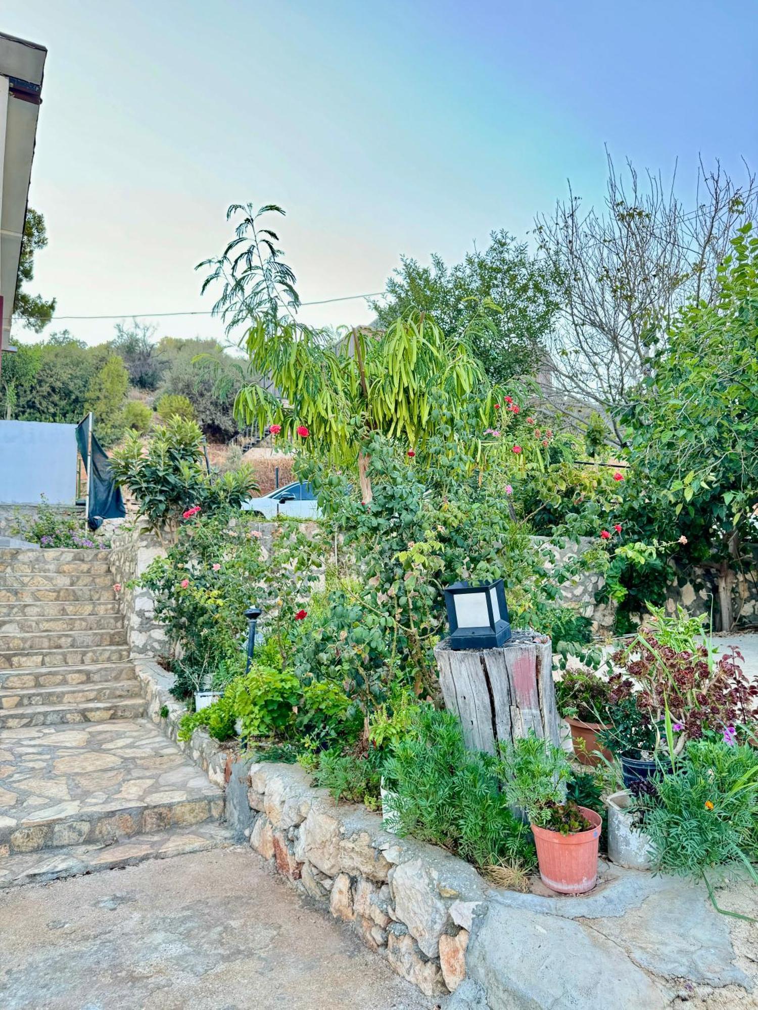 Rose Hotel B&B Patara Eksteriør bilde