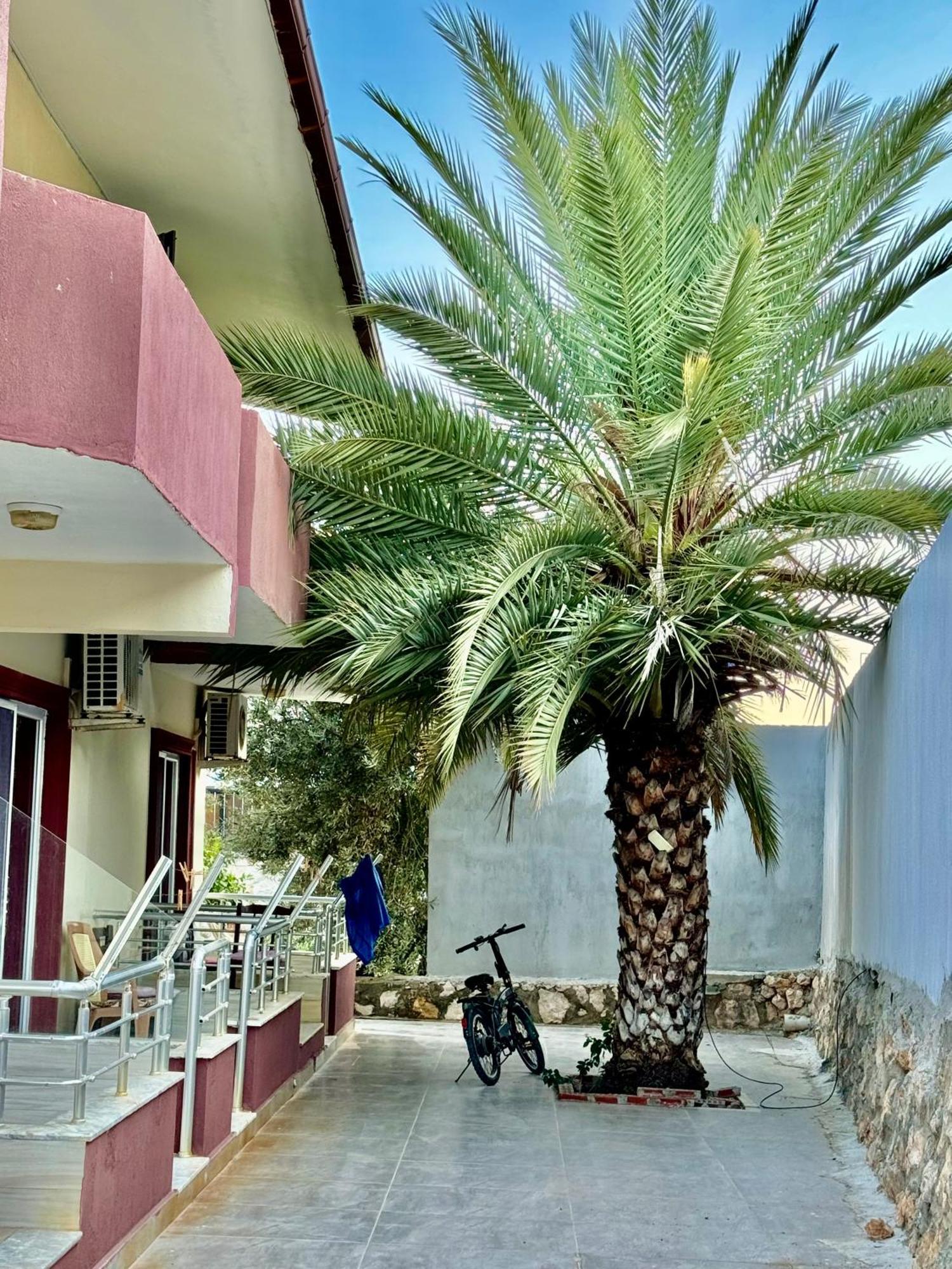 Rose Hotel B&B Patara Eksteriør bilde