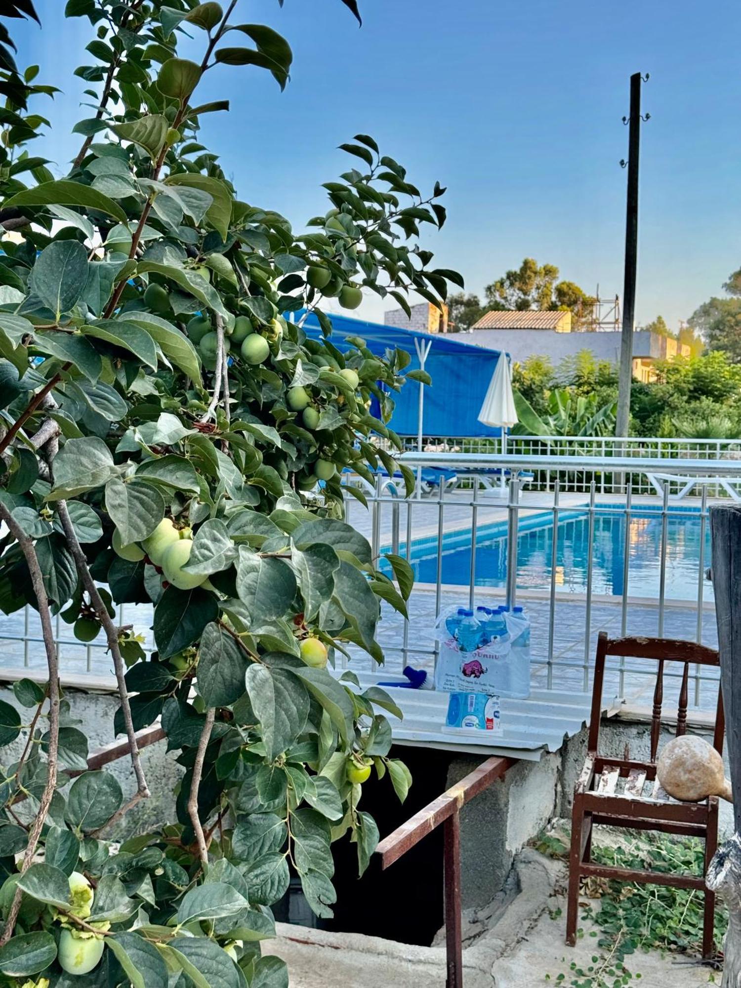 Rose Hotel B&B Patara Eksteriør bilde