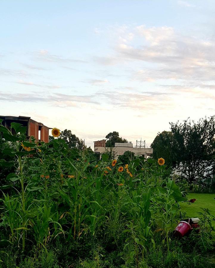 Rose Hotel B&B Patara Eksteriør bilde